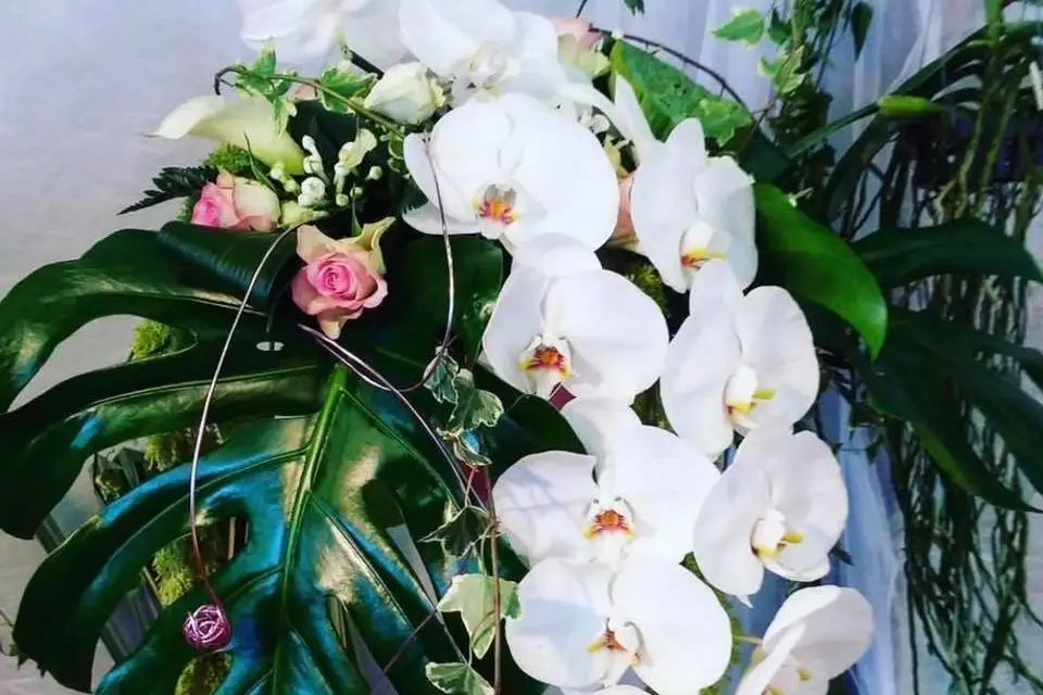 Bleu Jonquille — photo 9