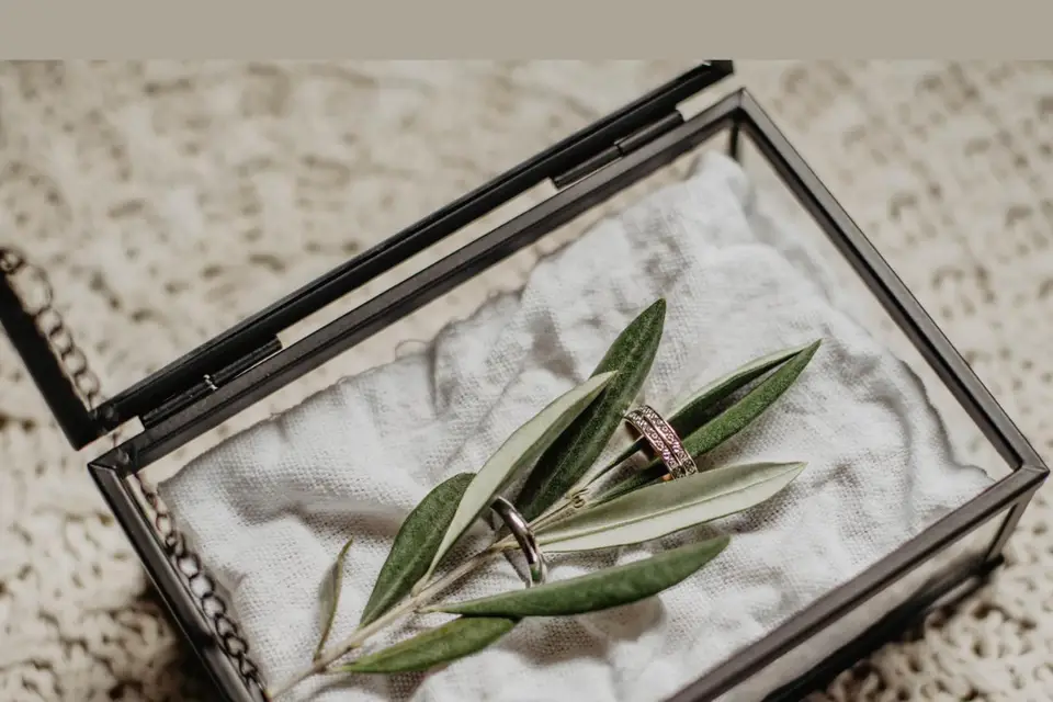 L'Alliancier — photo 5