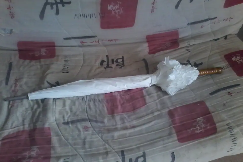 Magali Events — photo 3