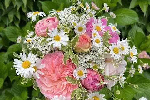 Maison Butine — photo 8