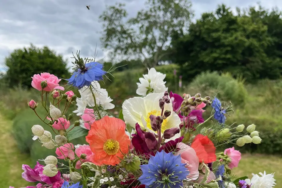 Maison Butine — photo 6