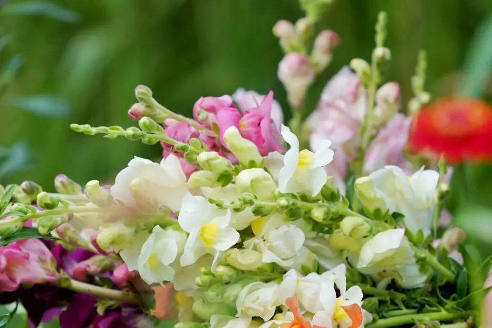 Maison Butine — photo 4