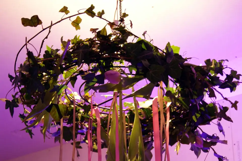 La table enchantée — photo 1