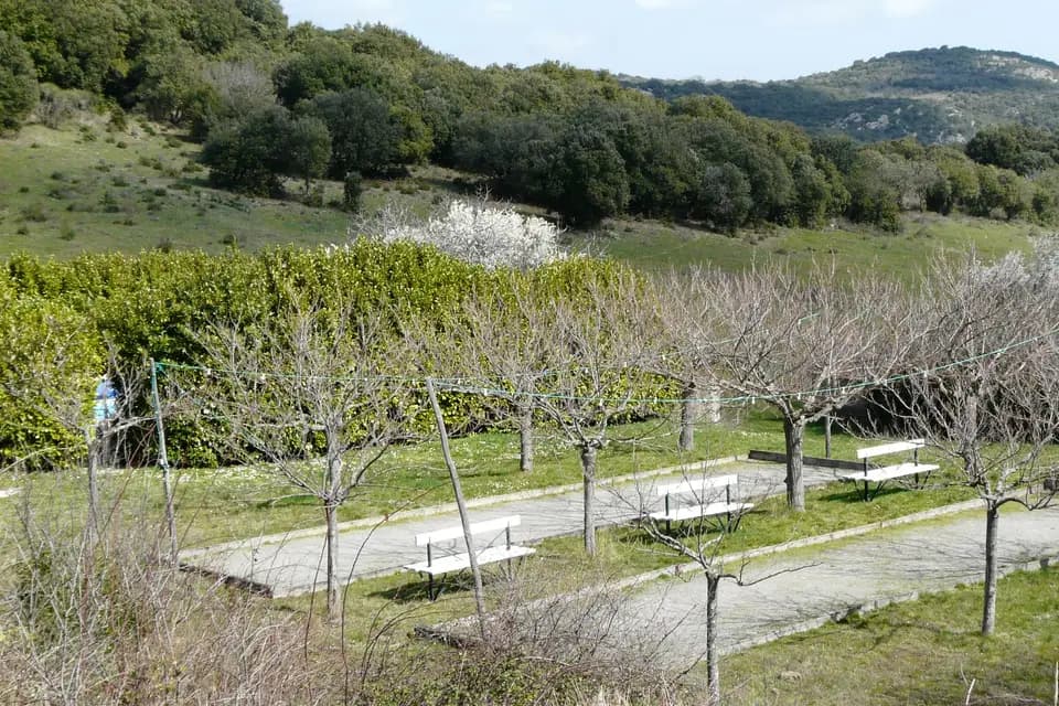 Domaine de Lacan — photo 3