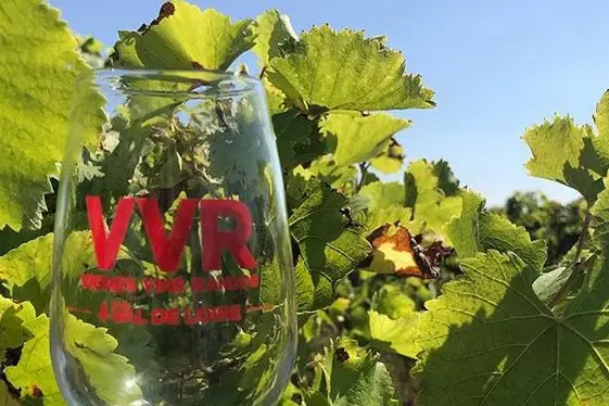 Decover Lhonneur — photo 6