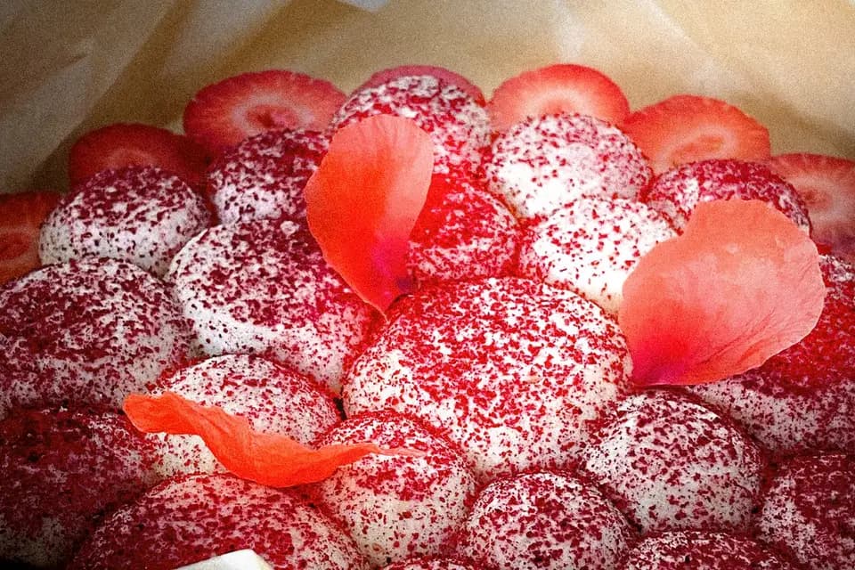 Maison Pluriel — photo 2