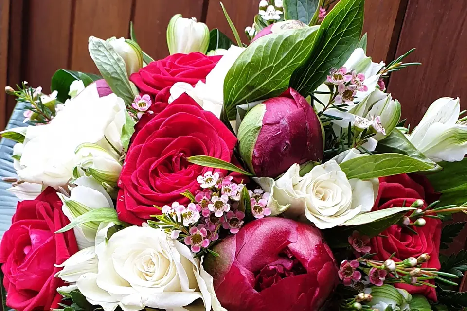 Vert tige à fleur de pot — photo 3