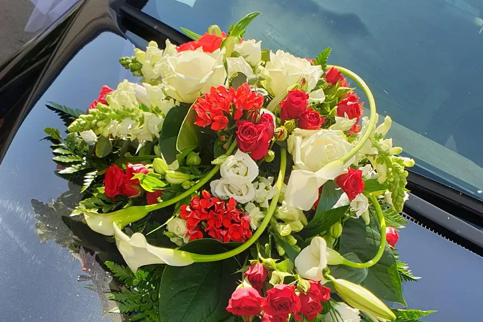 Vert tige à fleur de pot — photo 7