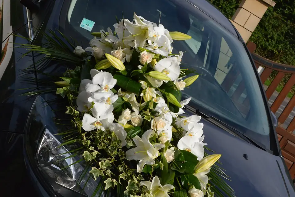 Vert tige à fleur de pot — photo 2