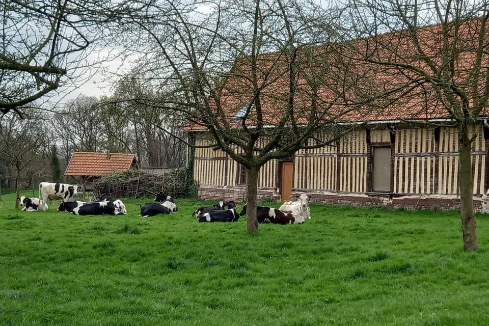 Salle de réception Epaville — photo 6