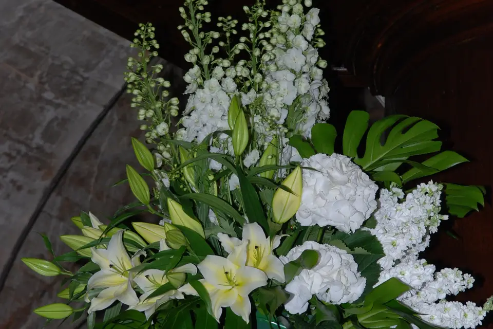 Cap Angels — photo 2