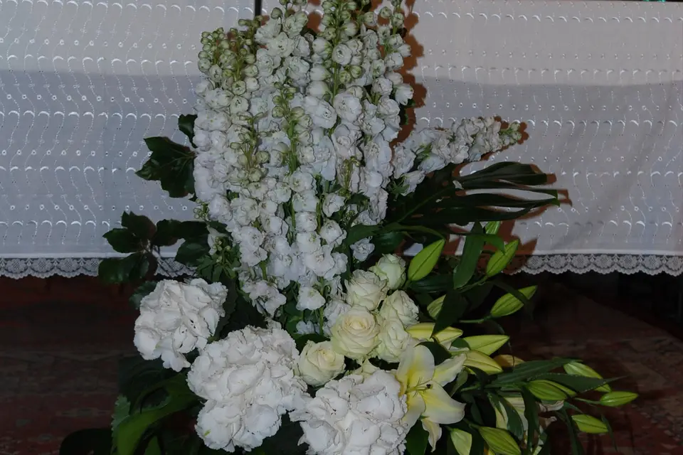 Cap Angels — photo 3