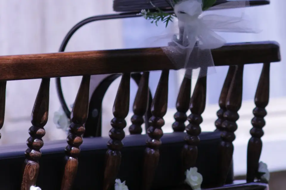 La Calèche de Clem — photo 2