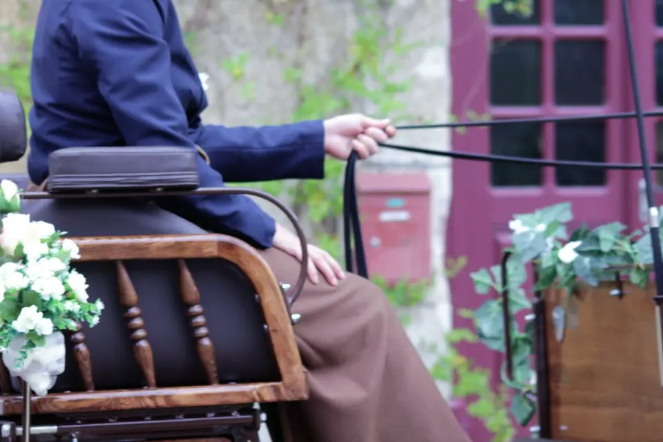 La Calèche de Clem — photo 3