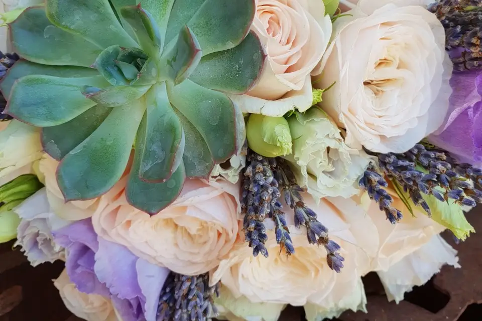 Emotions Fleuries — photo 4