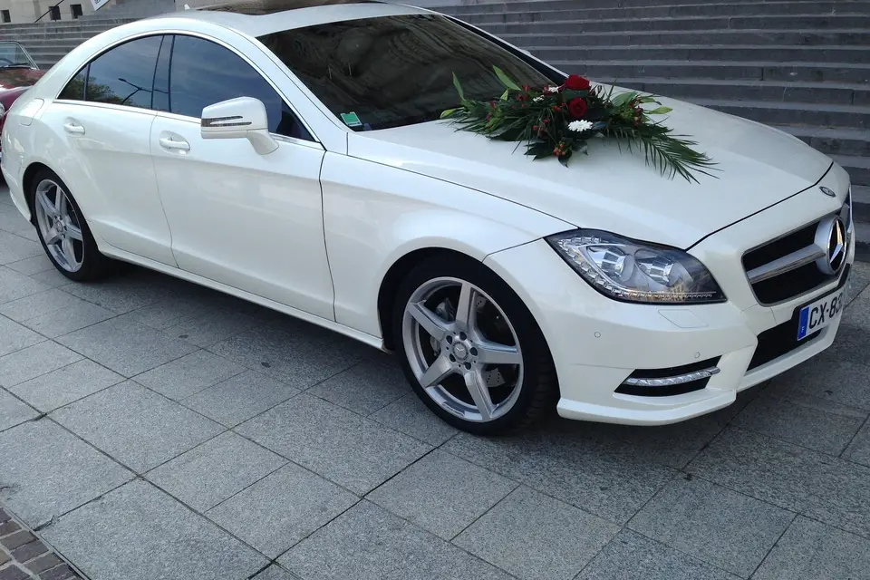 Pro Auto Luxe — photo 3