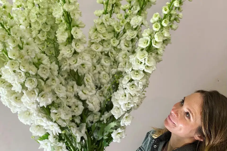 Amarylice — photo 8