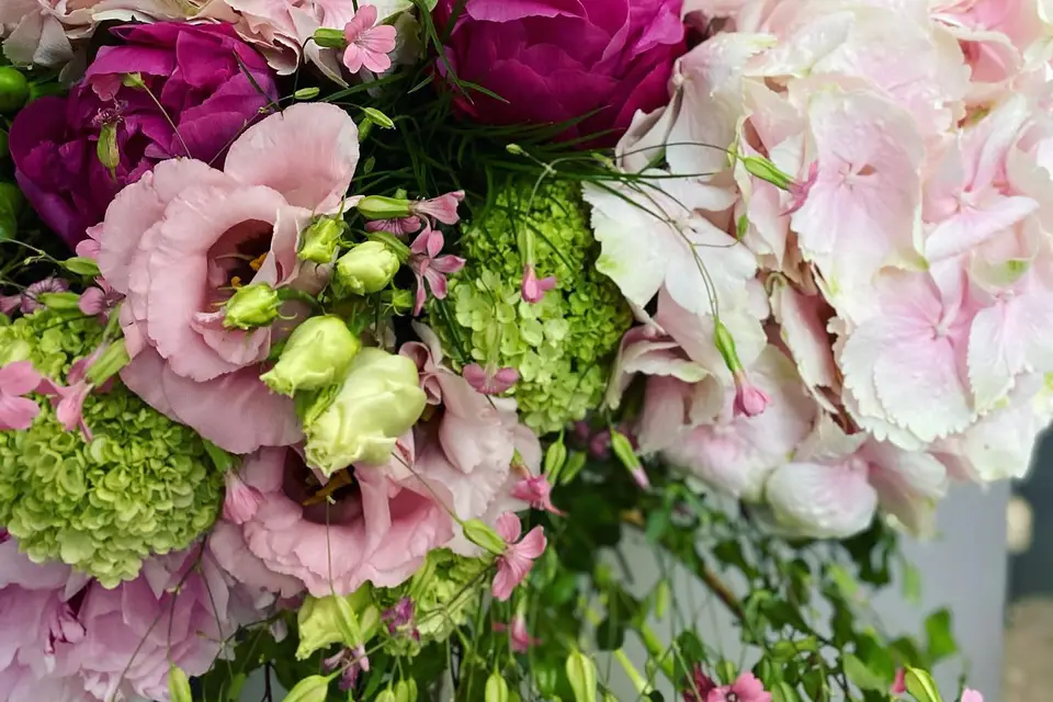 Amarylice — photo 4