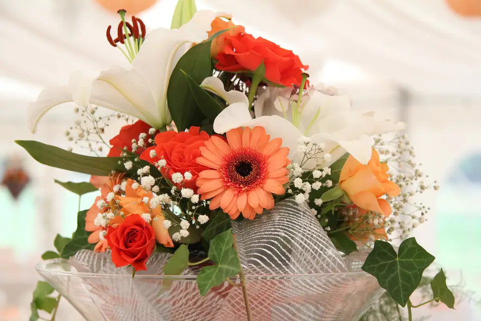 Tayla Events — photo 1