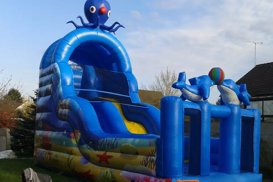 Anim en Délire IVR — photo 3