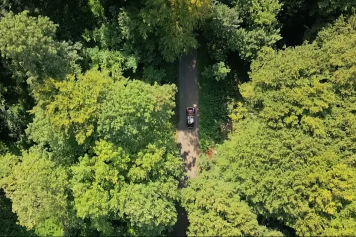 Studio SB — photo 3