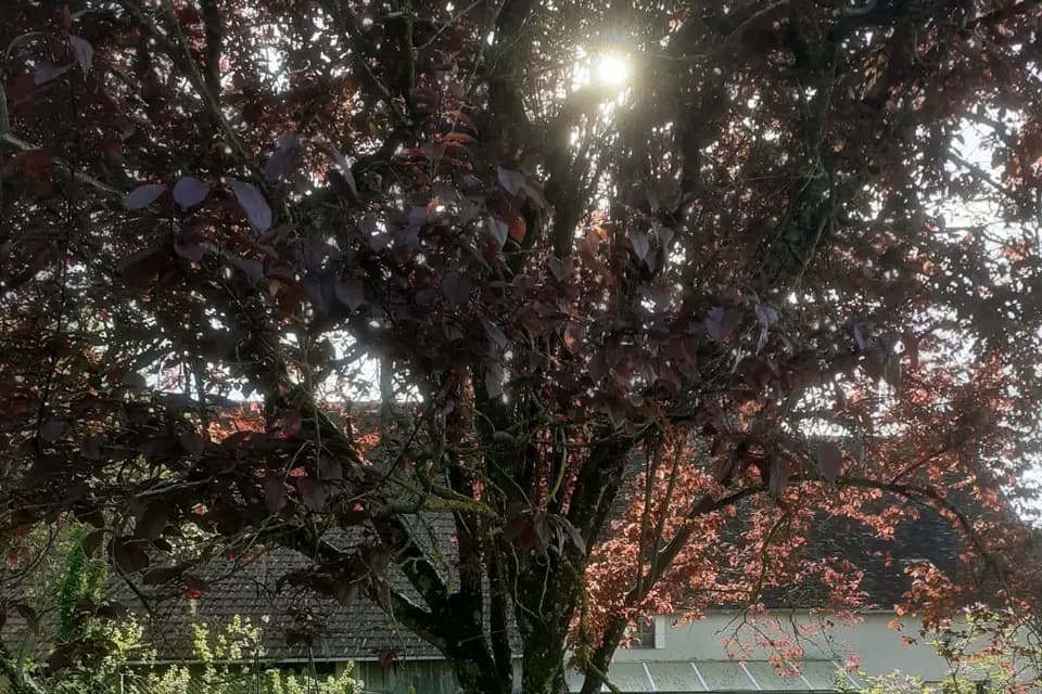 Bienvenue Chez Mémé — photo 7