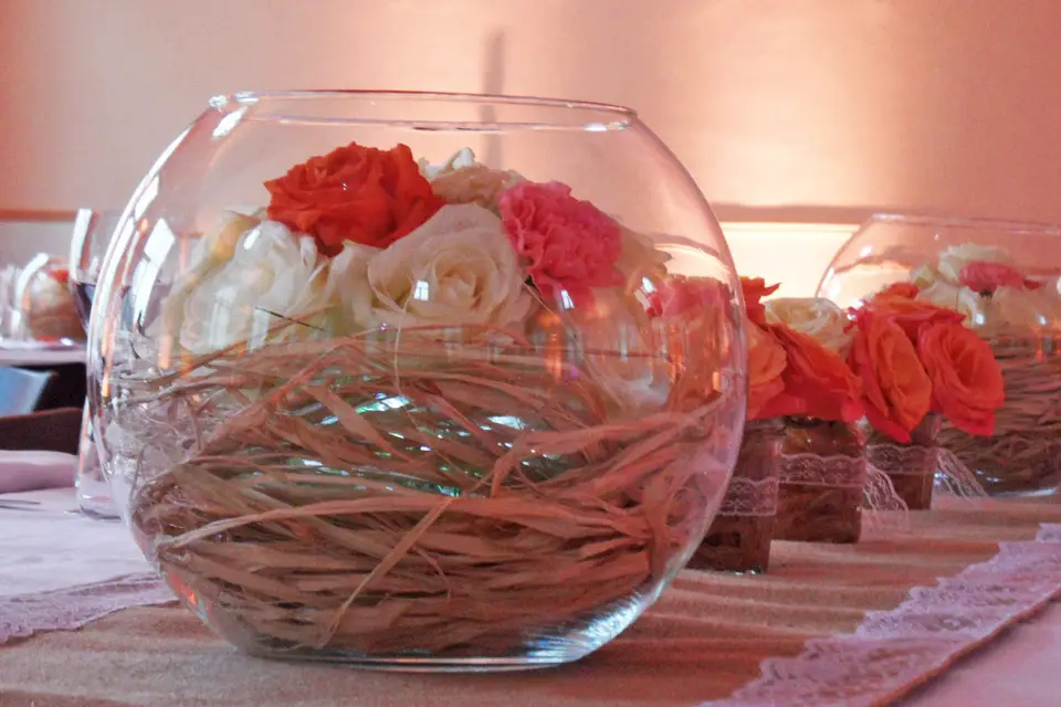 Ravinala Design — photo 2