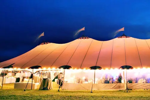 French Touch — photo 6