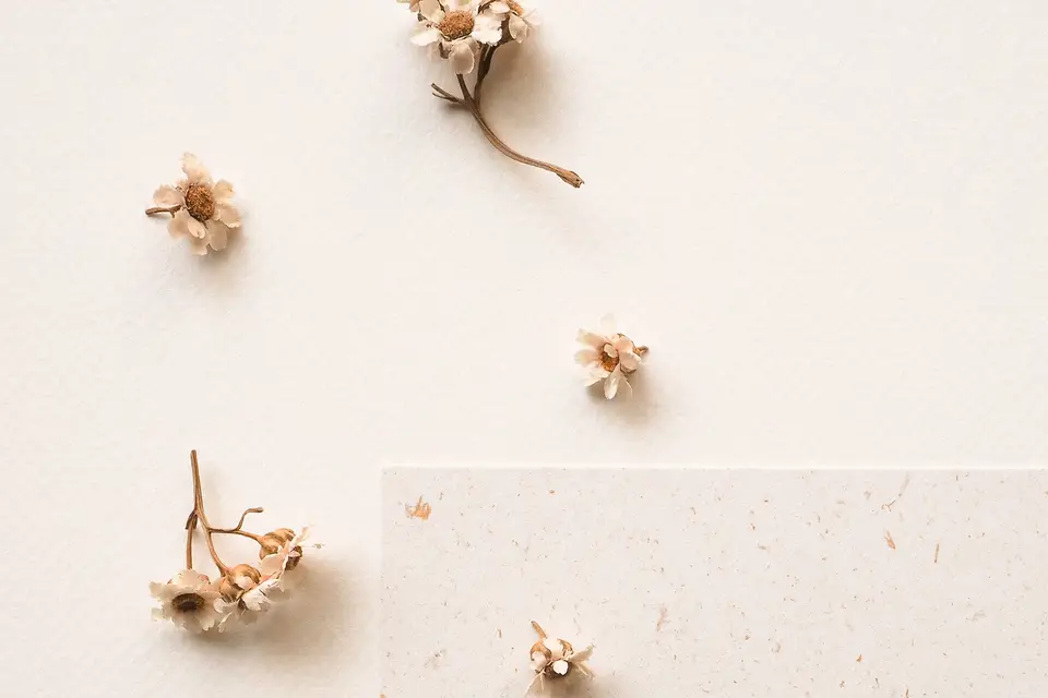 Marie Garsau — photo 3