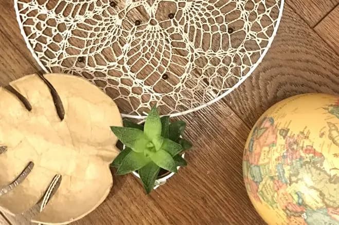 The Parrot's Travel to Tahiti — photo 4