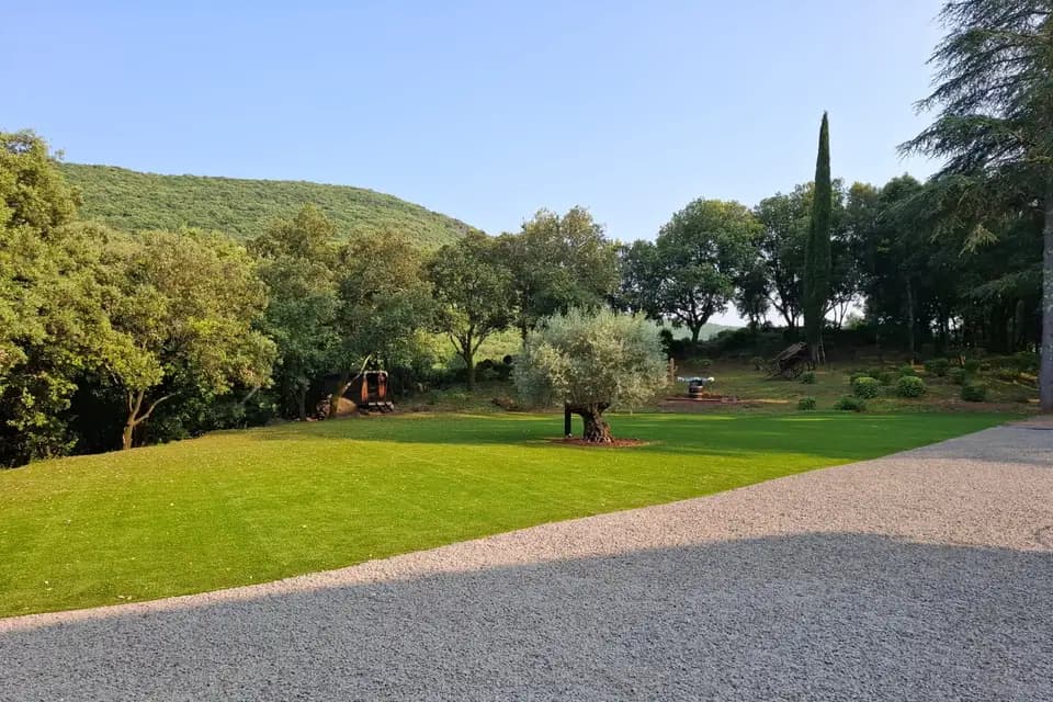 Mas La Solarie — photo 5