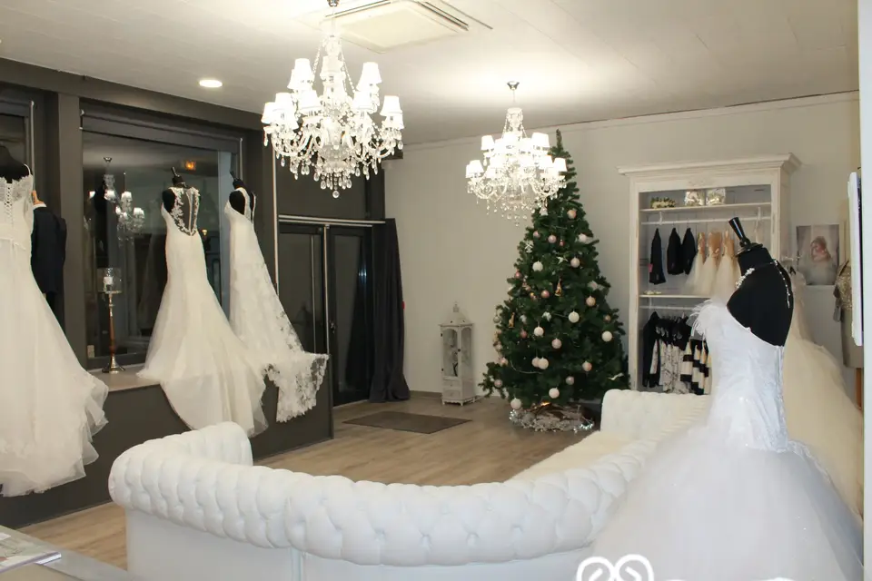 Alliance — photo 5