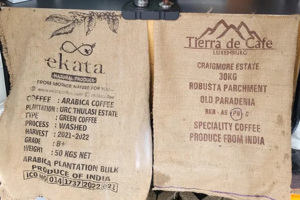 Barista To Go — photo 8