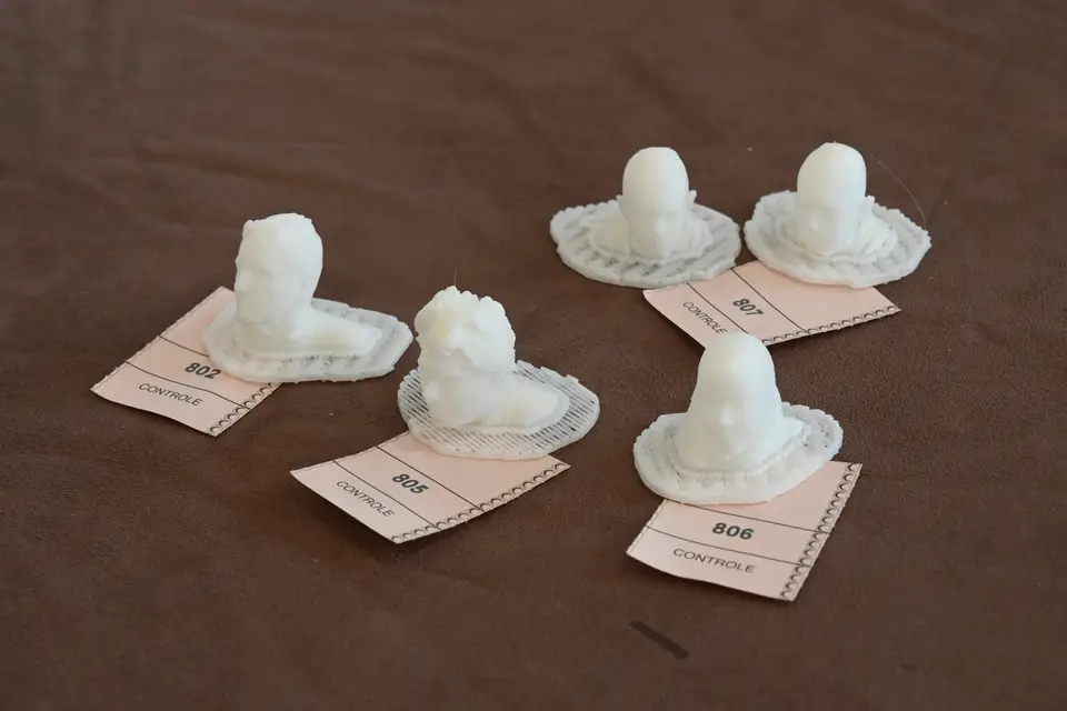 Ménagerie Technologique — photo 6