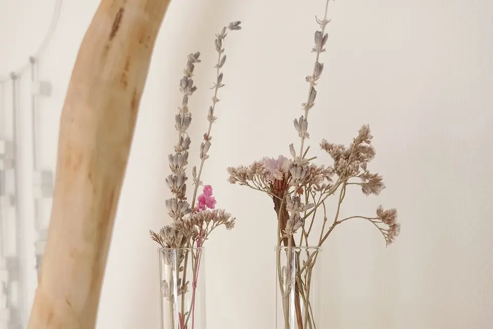 Chapitre Maison — photo 2