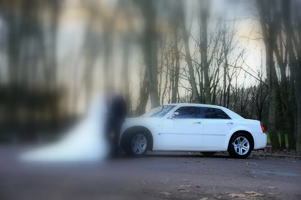 Optimium — photo 3