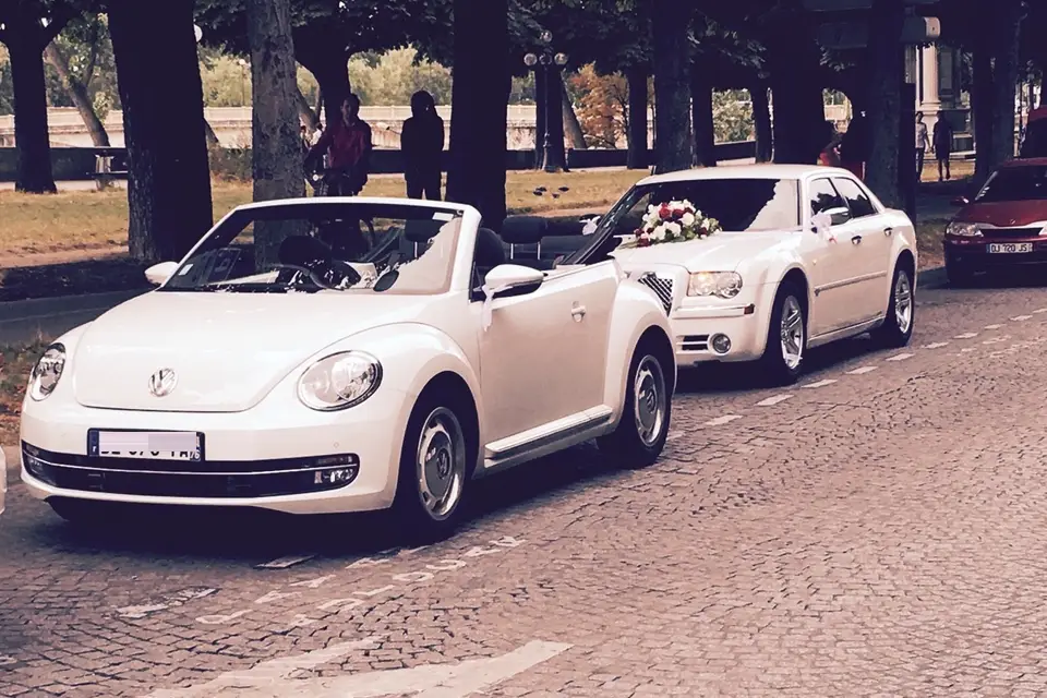 Optimium — photo 8