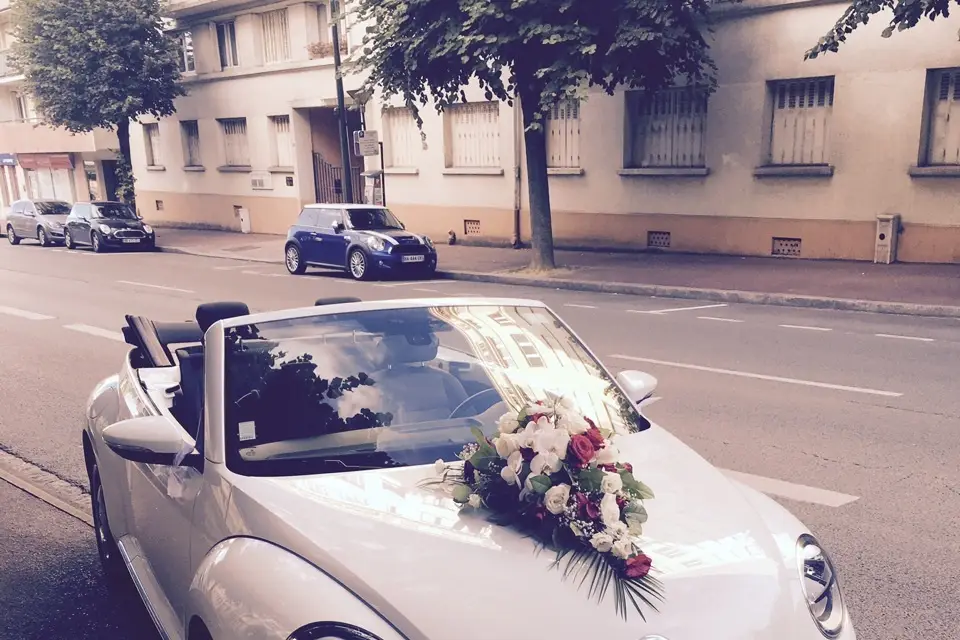 Optimium — photo 7