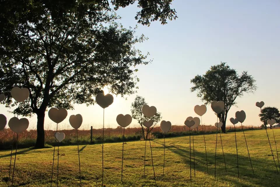 M’Cérémonie — photo 4