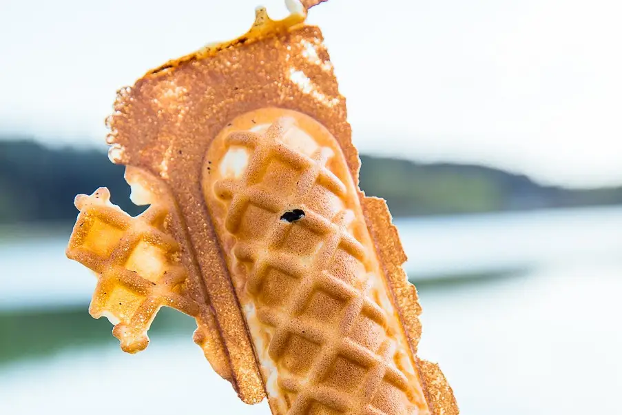 Ty'Plaisir — photo 4