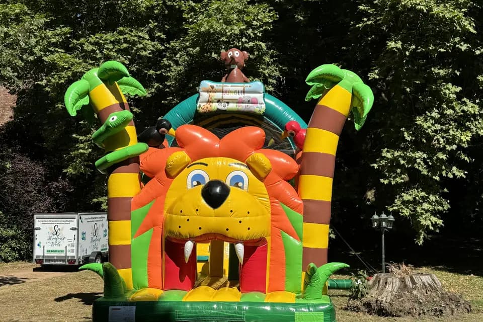 SC Music — photo 7