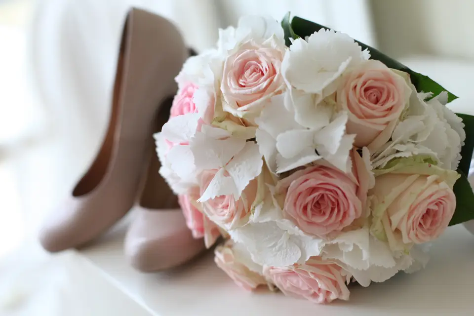 Studio4k — photo 7