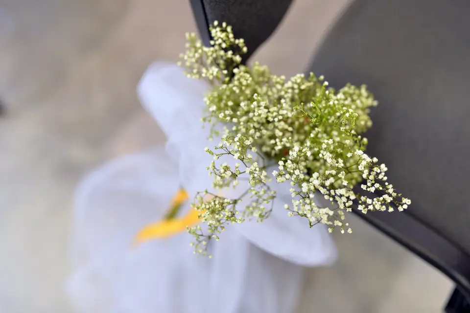 PB Production — photo 4