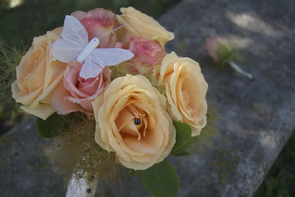 Maud Créations Florales — photo 7