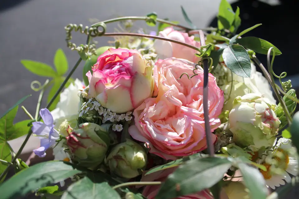 Maud Créations Florales