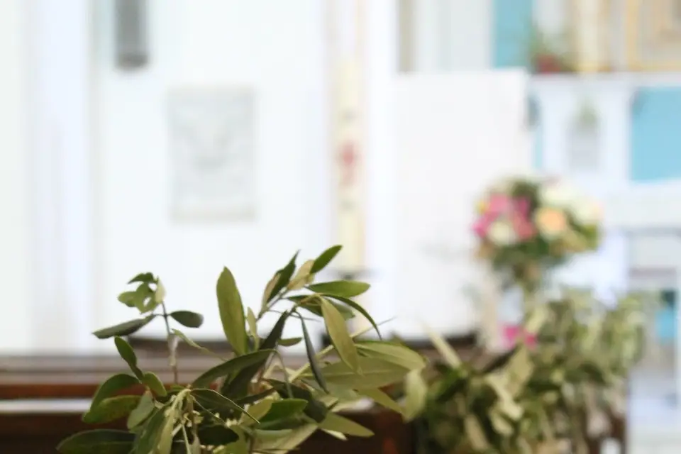 Maud Créations Florales — photo 1