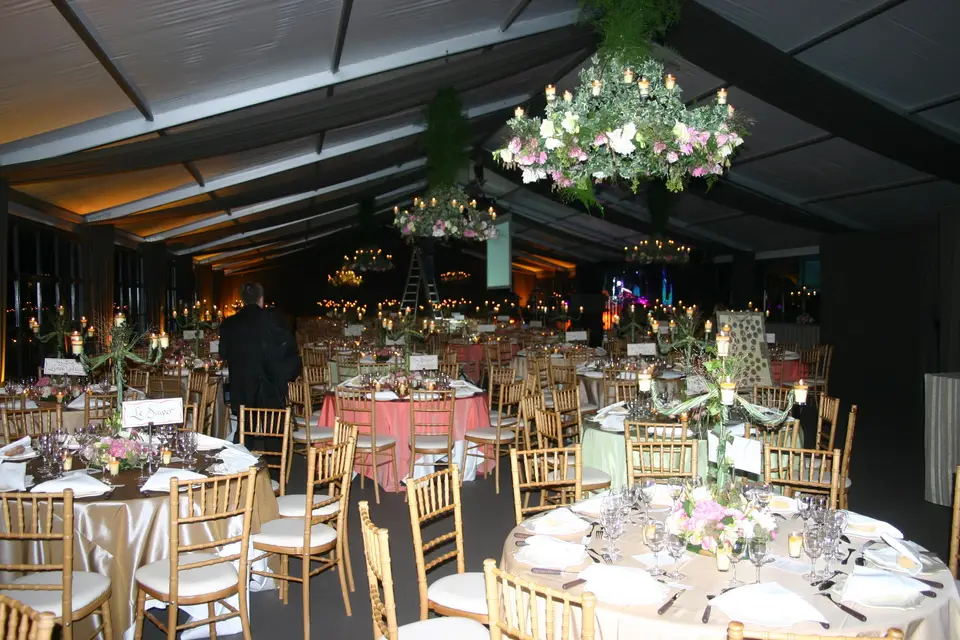 Sonhifilocation — photo 5