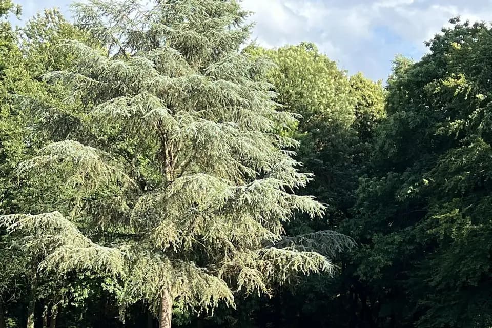 Agence DCN — photo 5