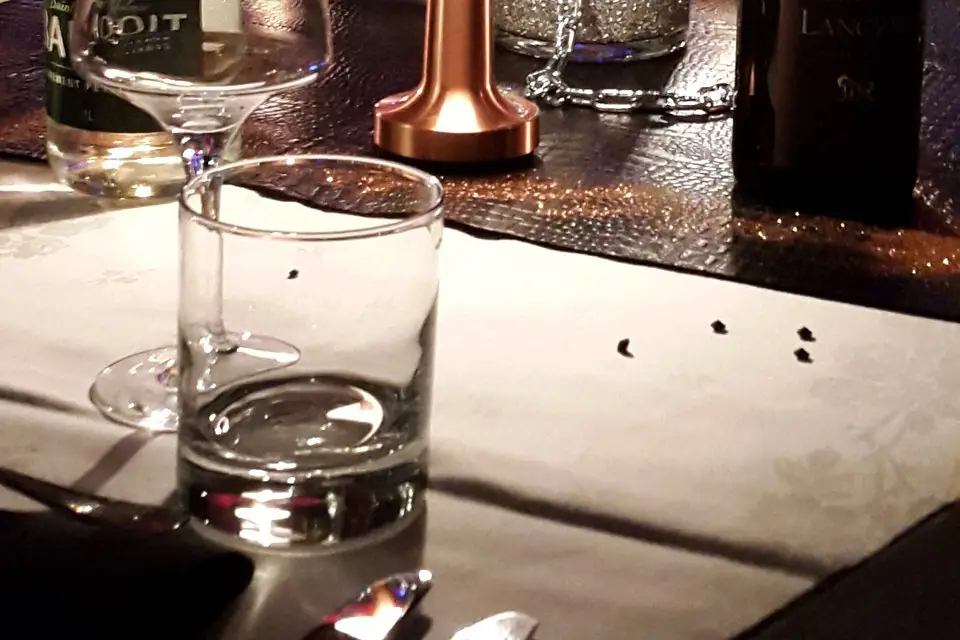 Bérangère Riggi Chanteuse — photo 7