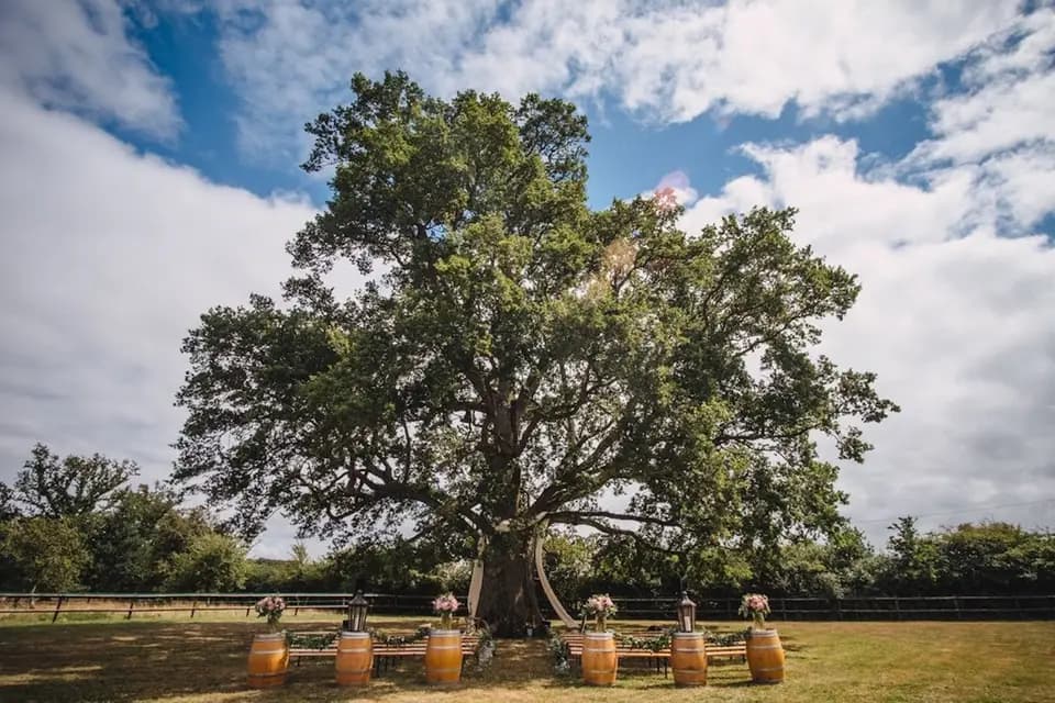 Ma Vie de Bohème — photo 3